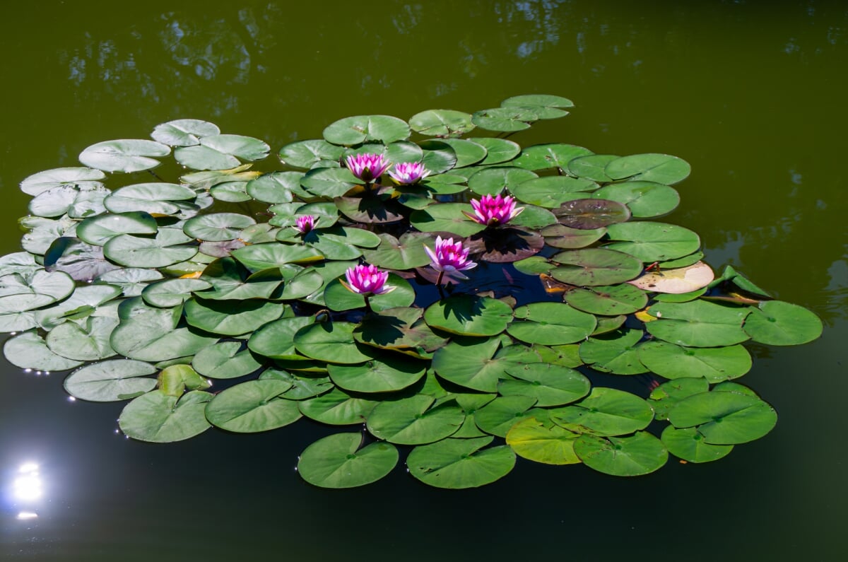 日高港 塩屋緑地(Sioトープ)の写真2