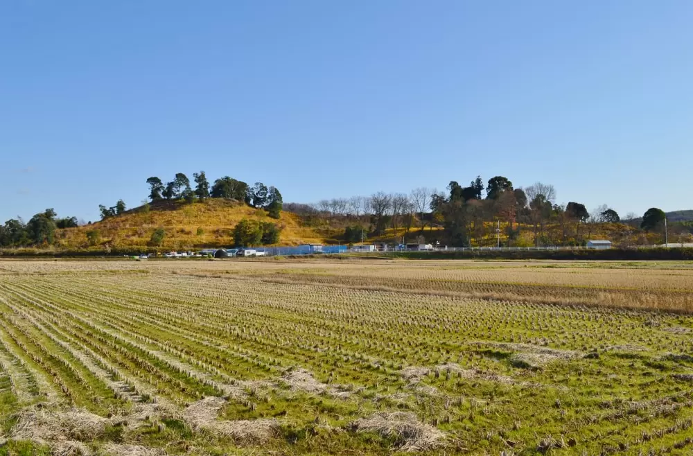 造山古墳の写真1
