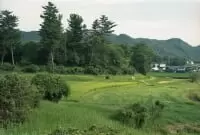 こうもり塚古墳