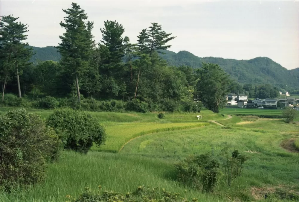 こうもり塚古墳の写真1