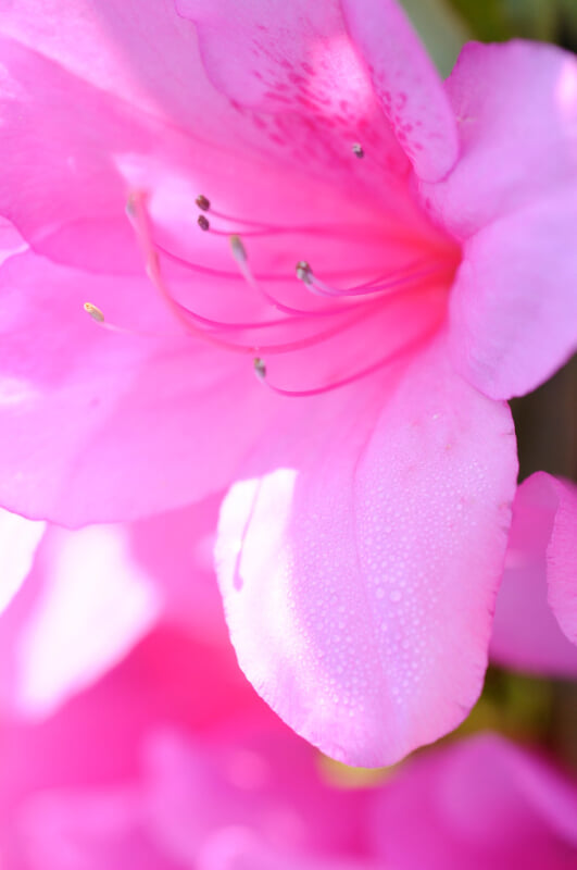 奥殿陣屋の写真2