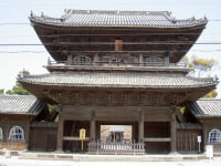 大樹寺