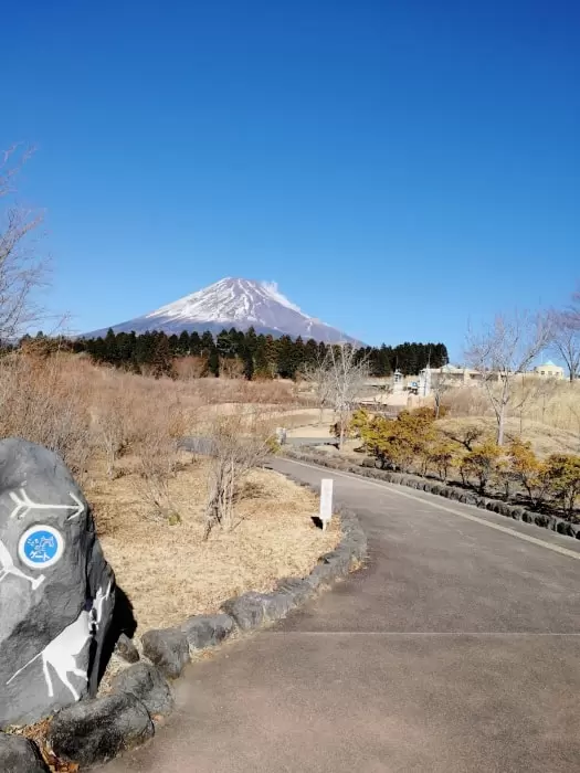 富士山こどもの国の写真1