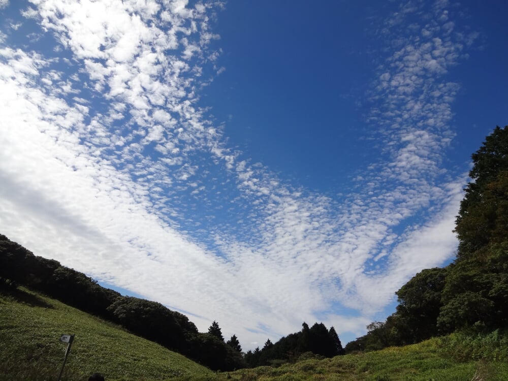 入道ヶ岳の写真2