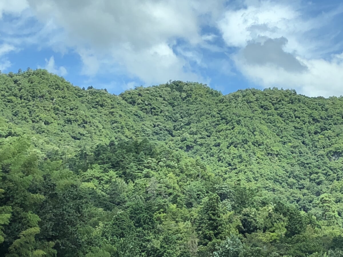 大桑城跡の写真2
