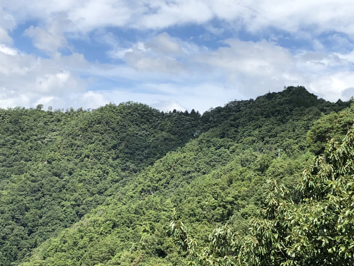 大桑城跡の写真1