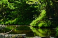 トラウトファーム秋川