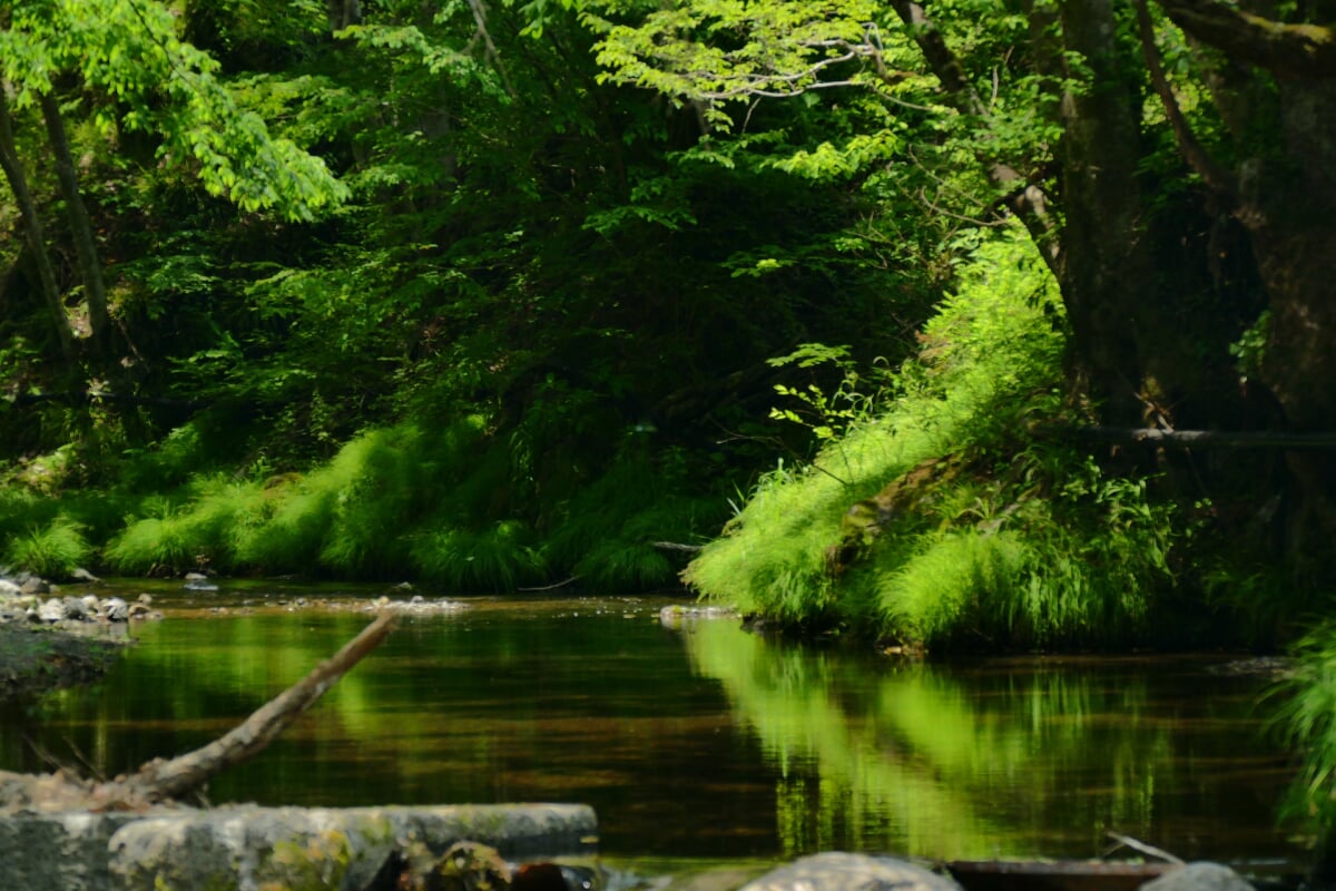 トラウトファーム秋川の写真1