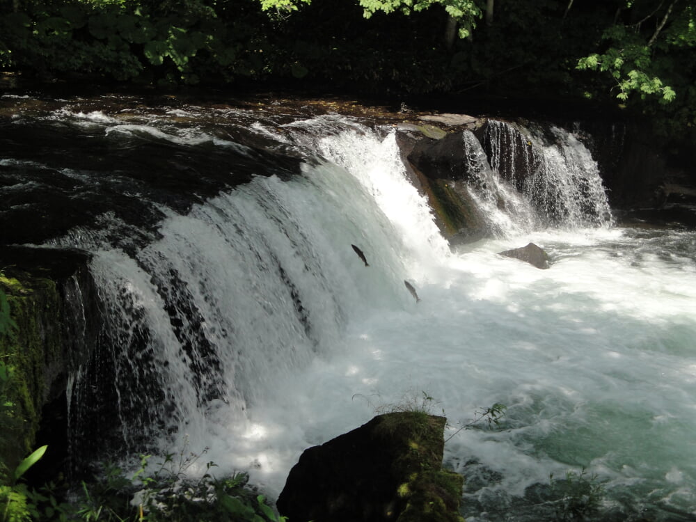 さくらの滝の写真3