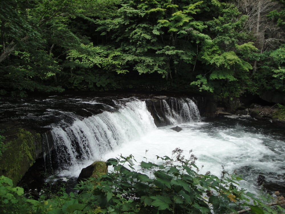 さくらの滝の写真1