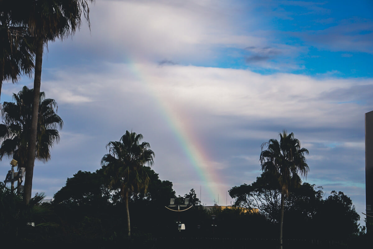 鳴尾浜臨海公園の写真3