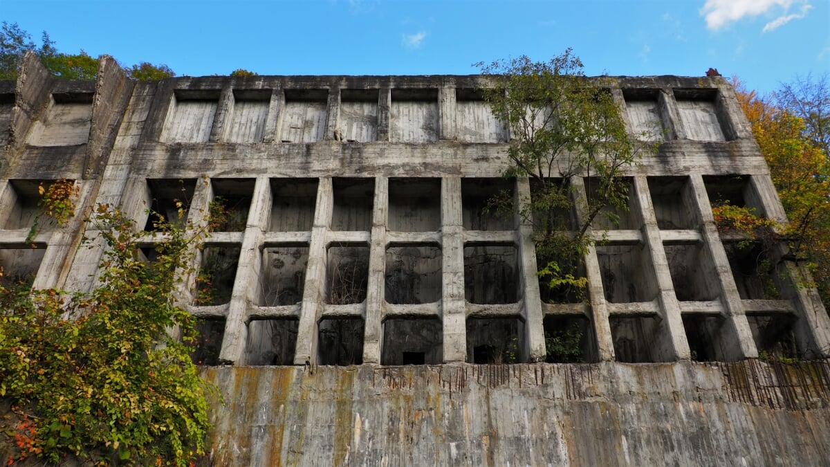 炭鉱メモリアル森林公園の写真2