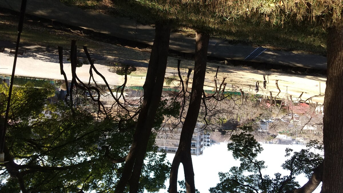 常盤公園の写真2