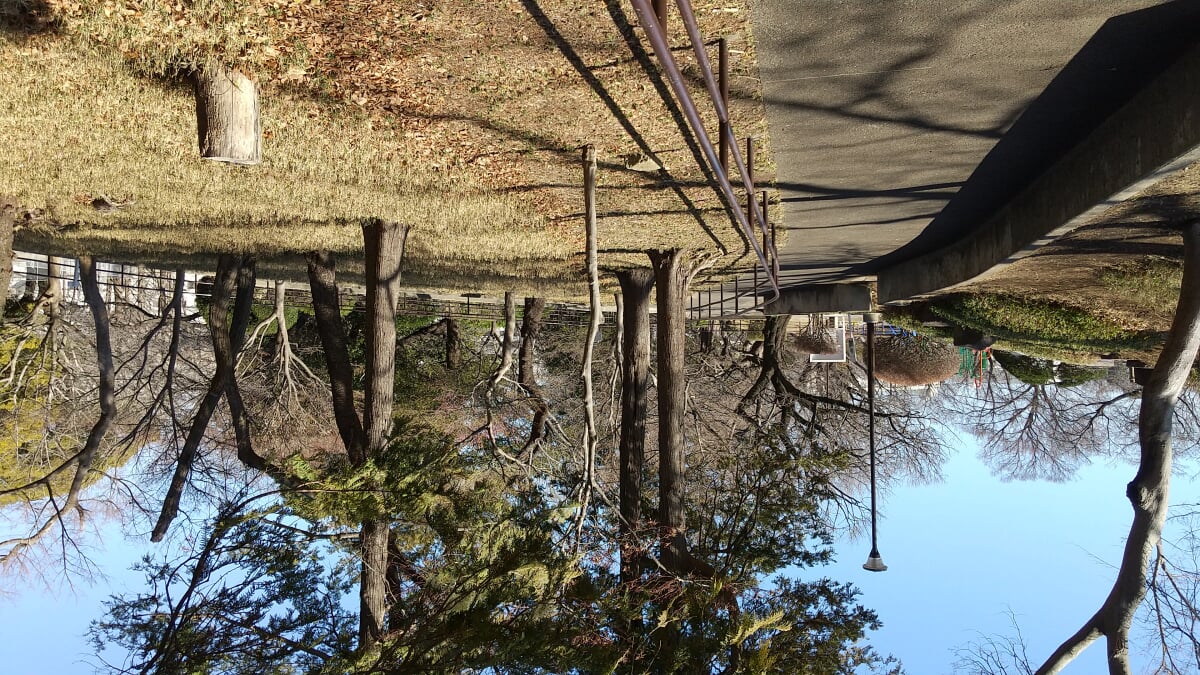 常盤公園の写真3