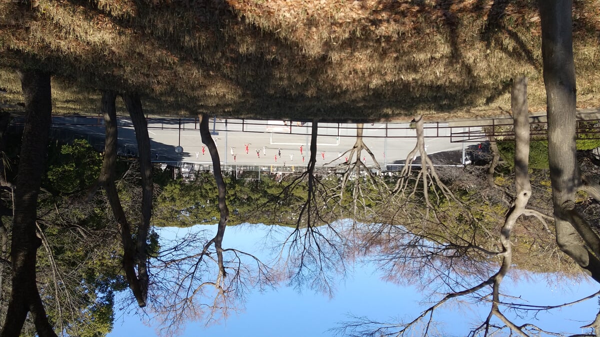 常盤公園の写真4