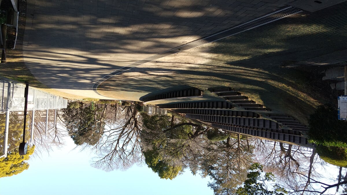 常盤公園の写真1