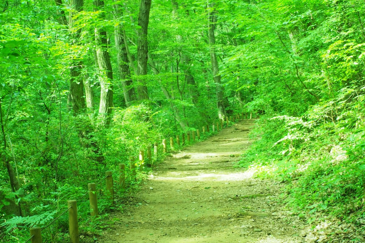 市立野山北公園・プールの写真1