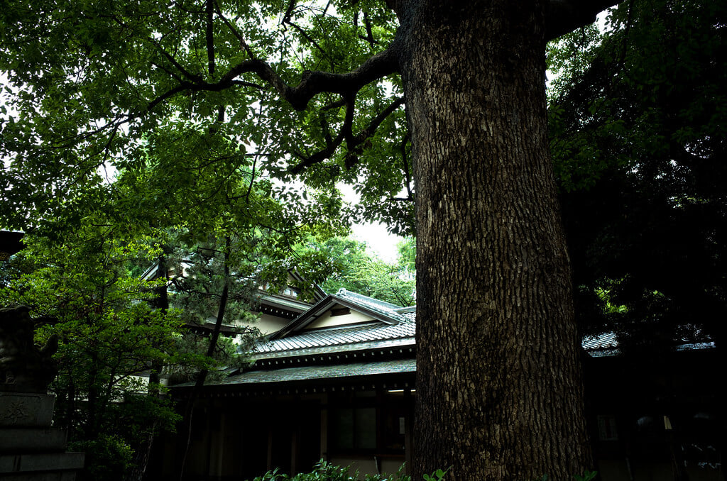 王子神社の写真4