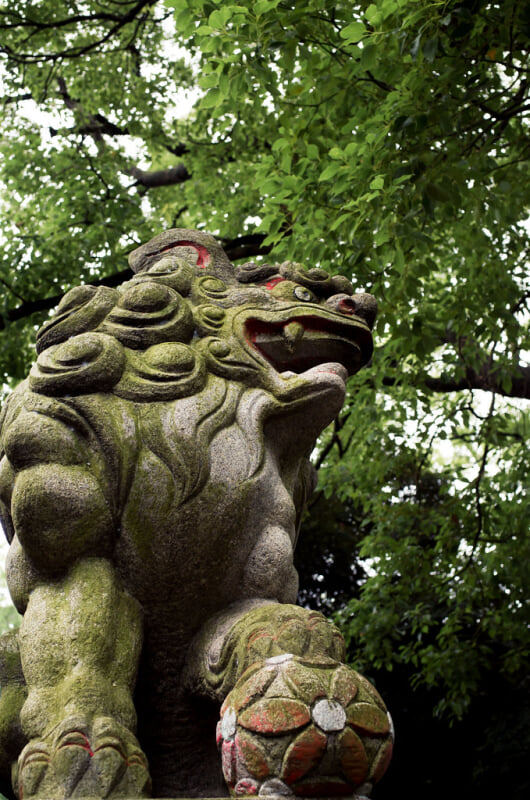 王子神社の写真5