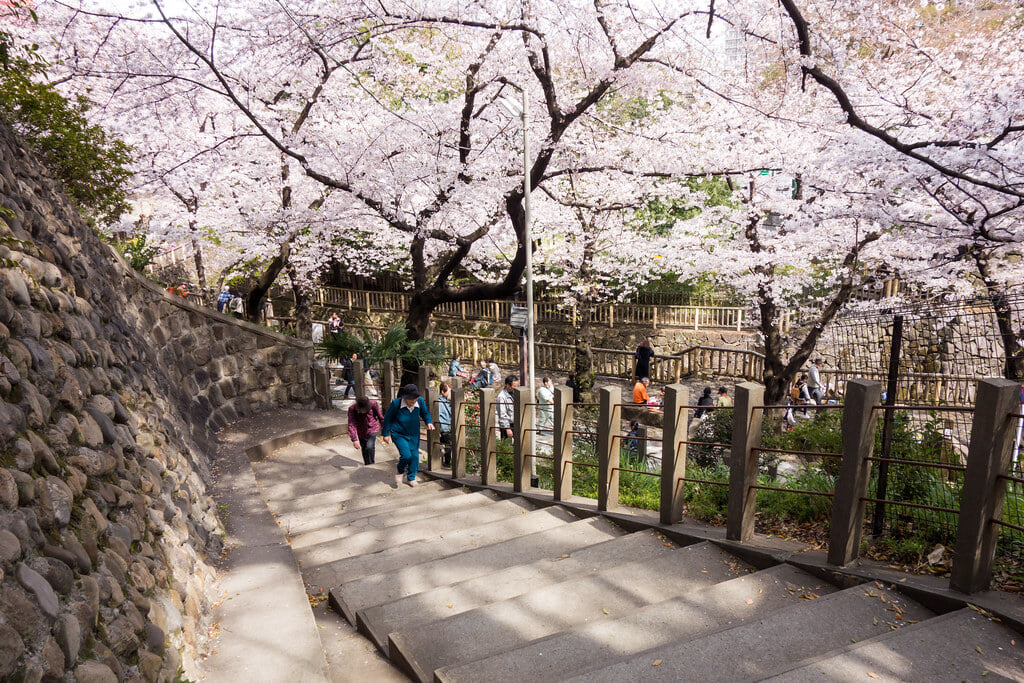 王子神社の写真1