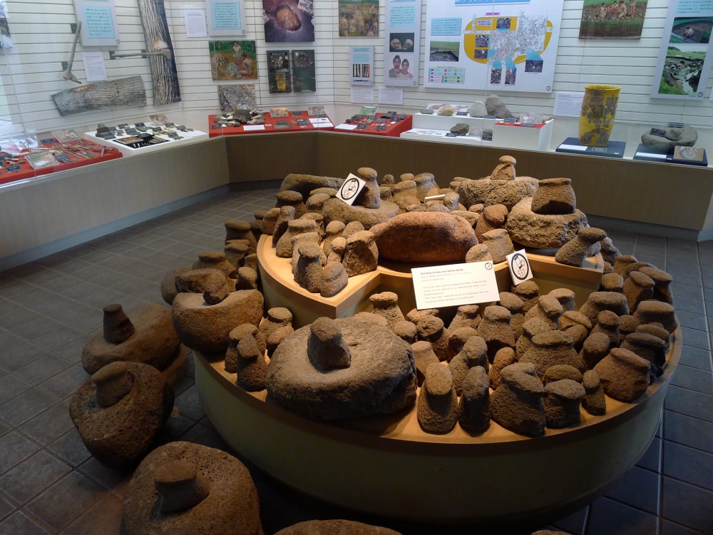 北黄金貝塚の写真2