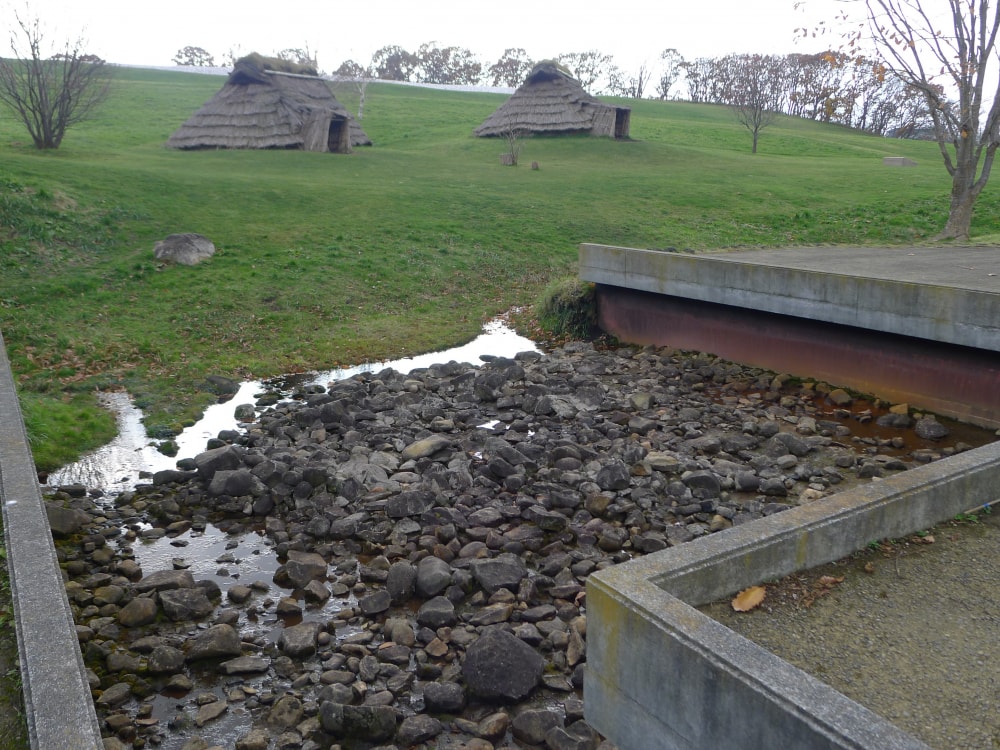 北黄金貝塚の写真6