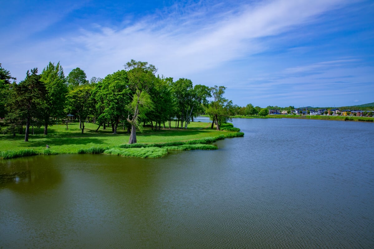 北光公園の写真2