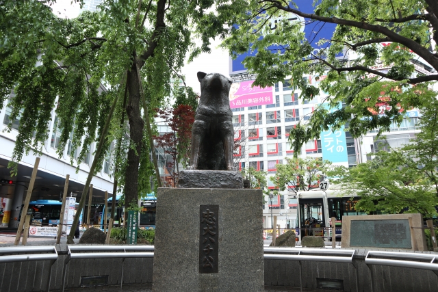 ハチ公前広場の写真2