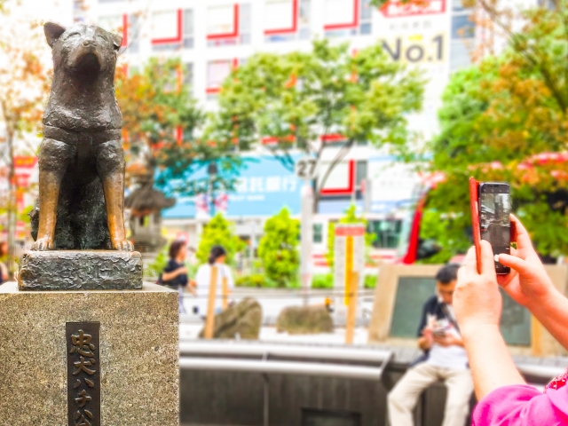 ハチ公前広場の写真3