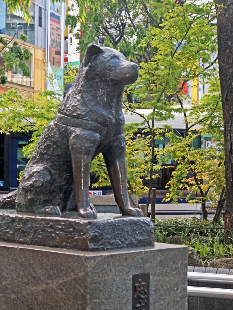 ハチ公前広場の写真4