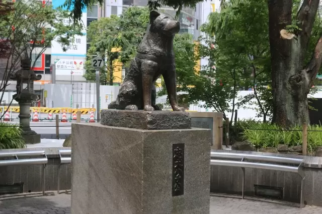 ハチ公前広場の写真1