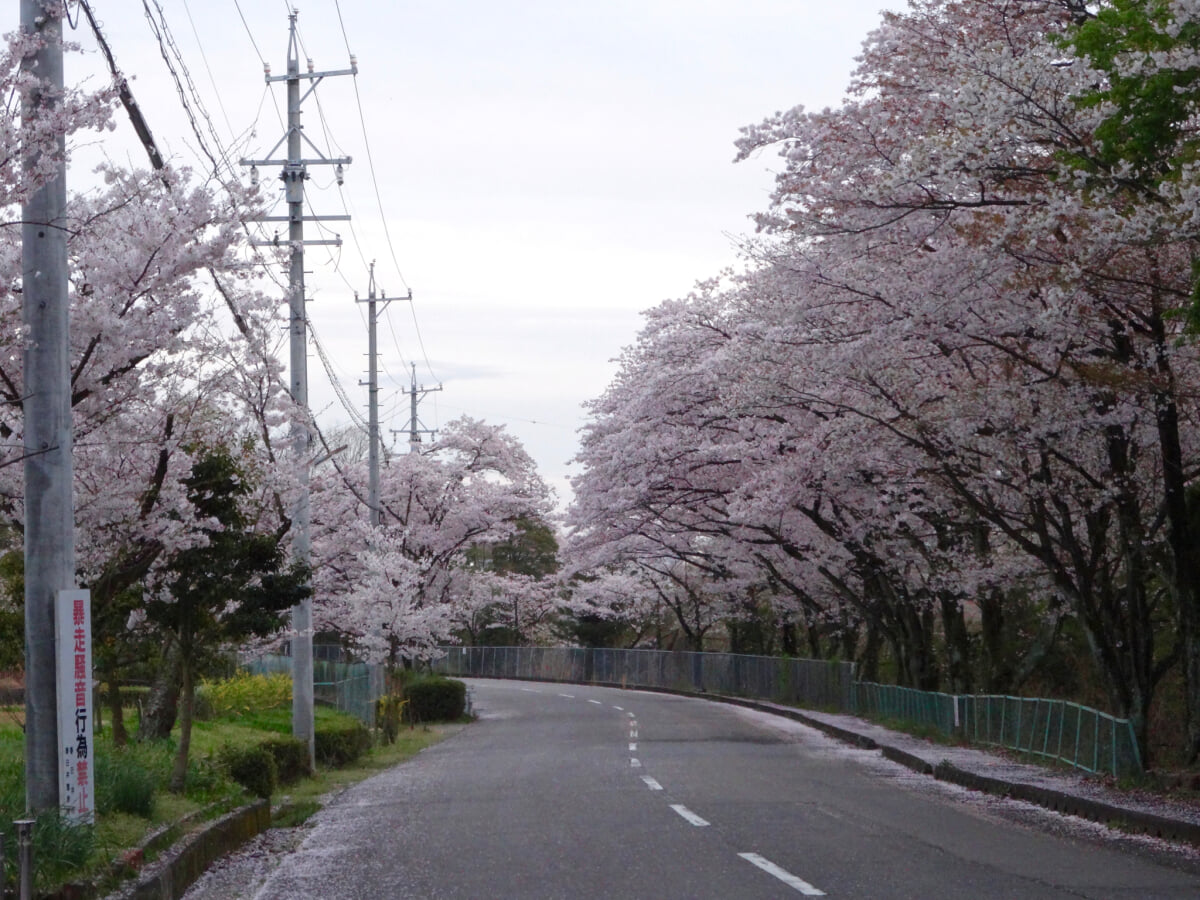 潮見坂平和公園の写真1