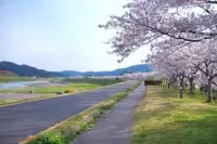 桜づつみ公園