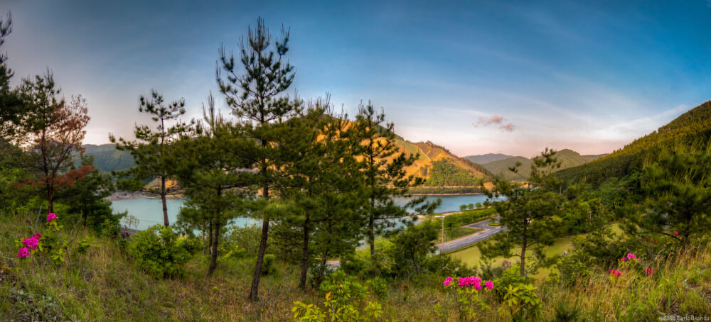 青土ダムの写真1