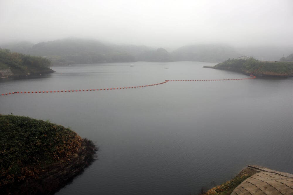 尾原ダムの写真2