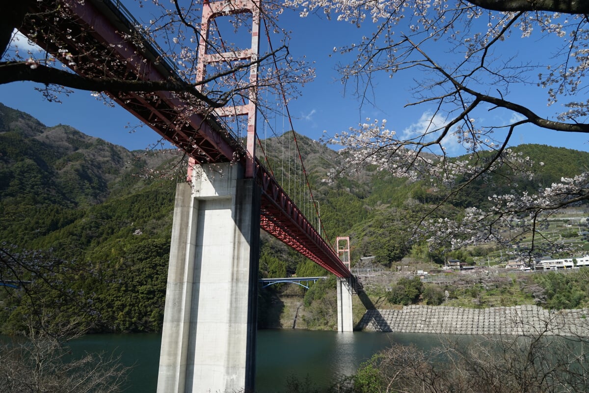 大渡ダムの写真9