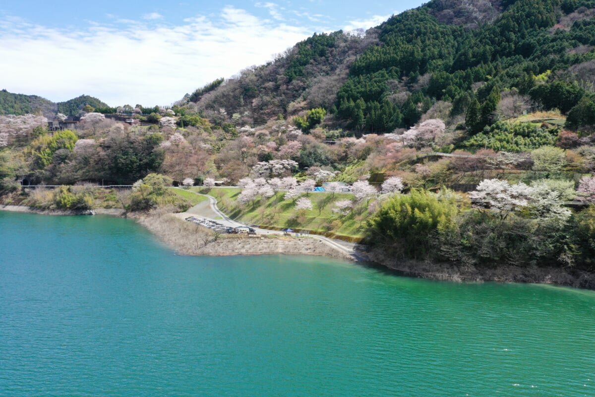 大渡ダムの写真10