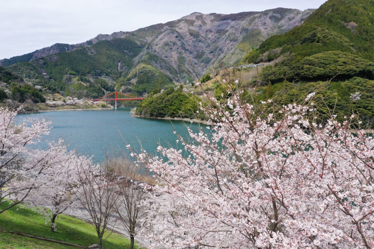 大渡ダムの写真1