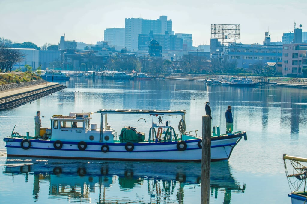 しながわ花海道の写真2