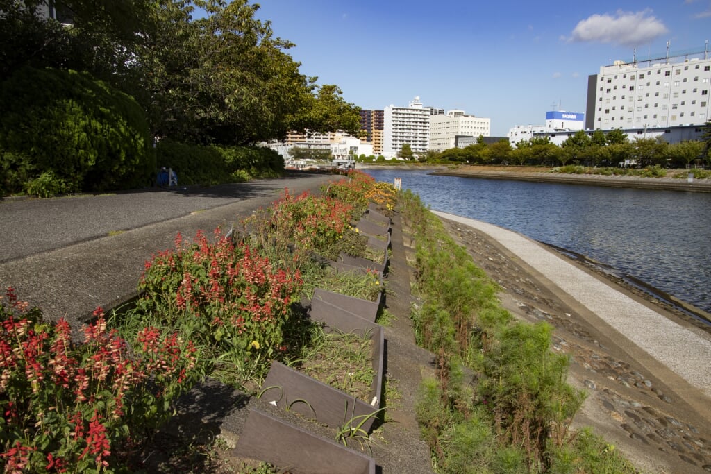 しながわ花海道の写真1