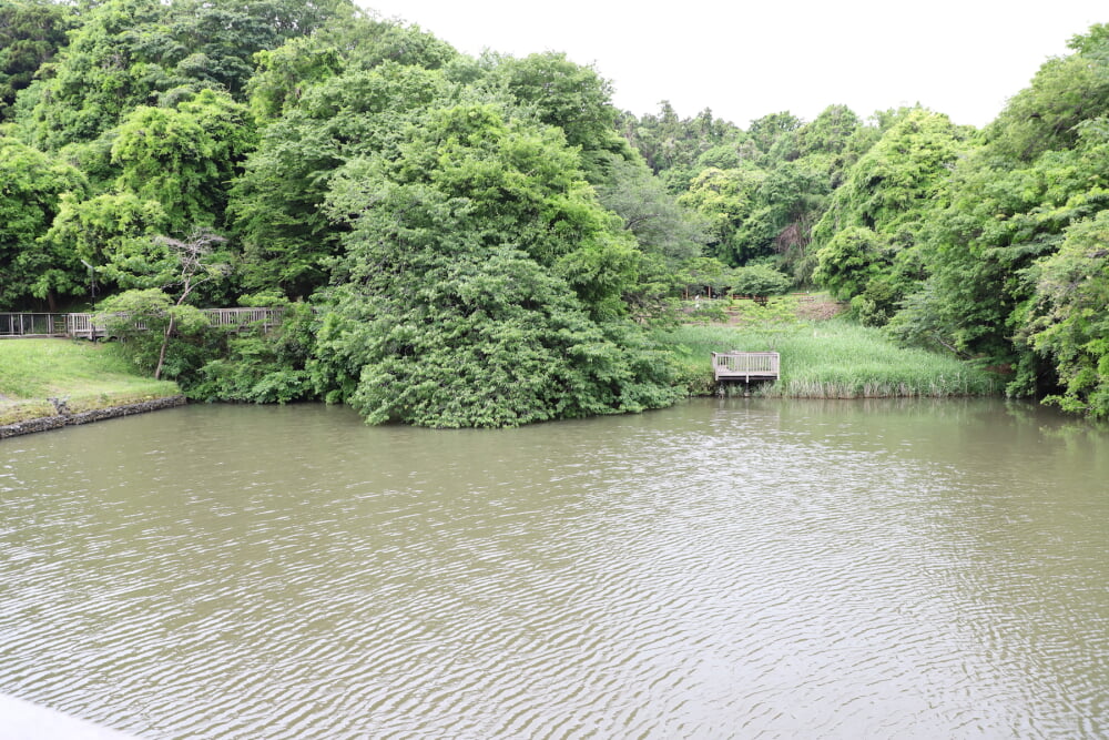 夫婦池公園の写真2