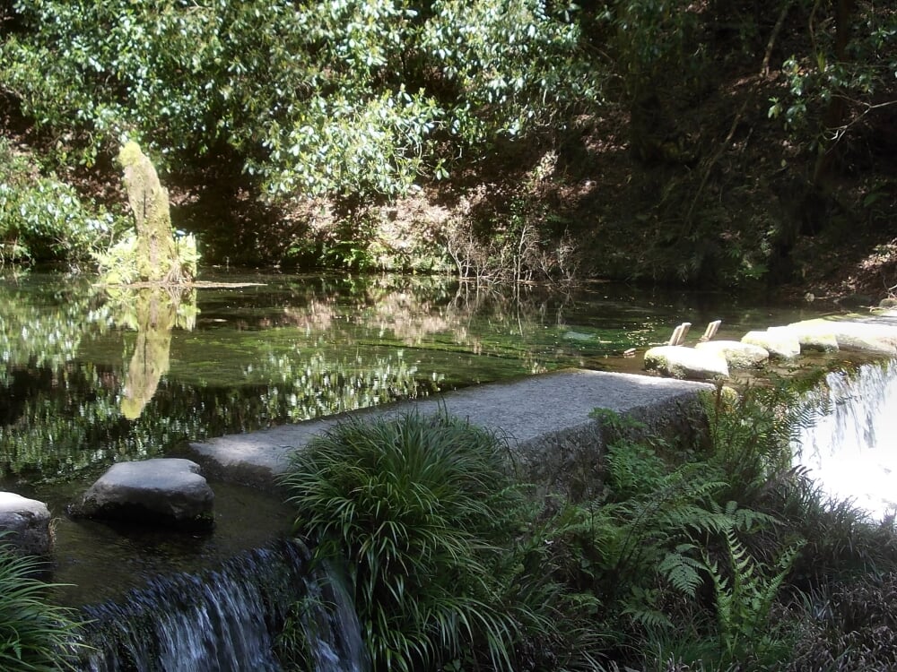 池山水源の写真2
