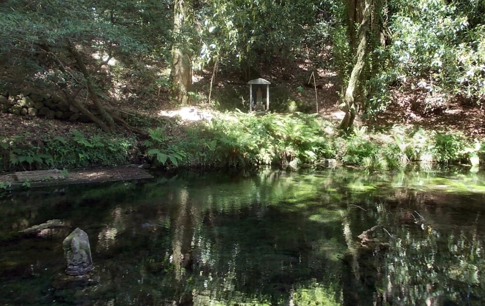 池山水源の写真3