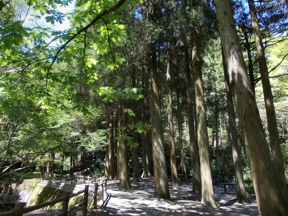 池山水源の写真4