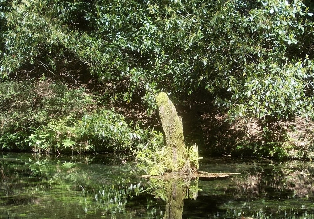 池山水源の写真5