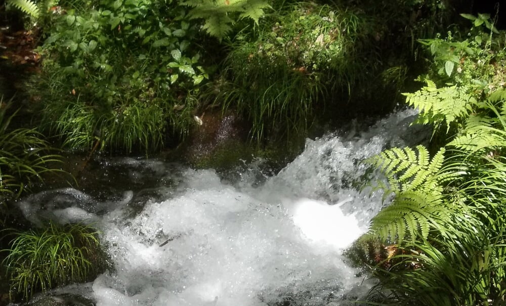 池山水源の写真1