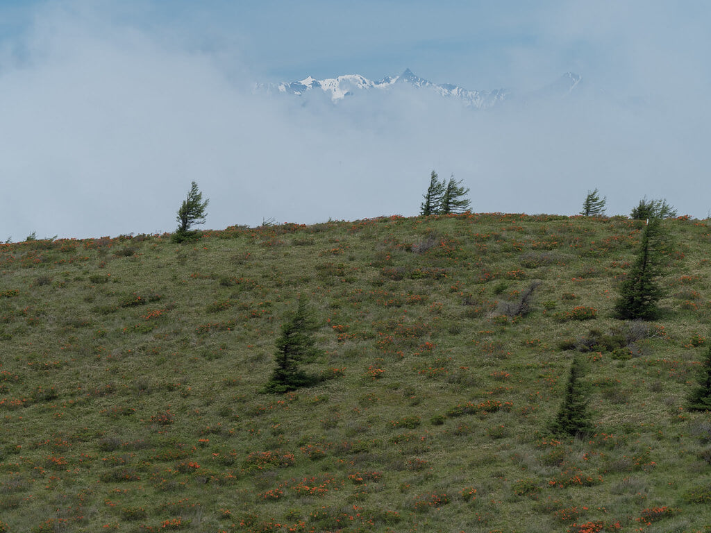 高ボッチ高原の写真3