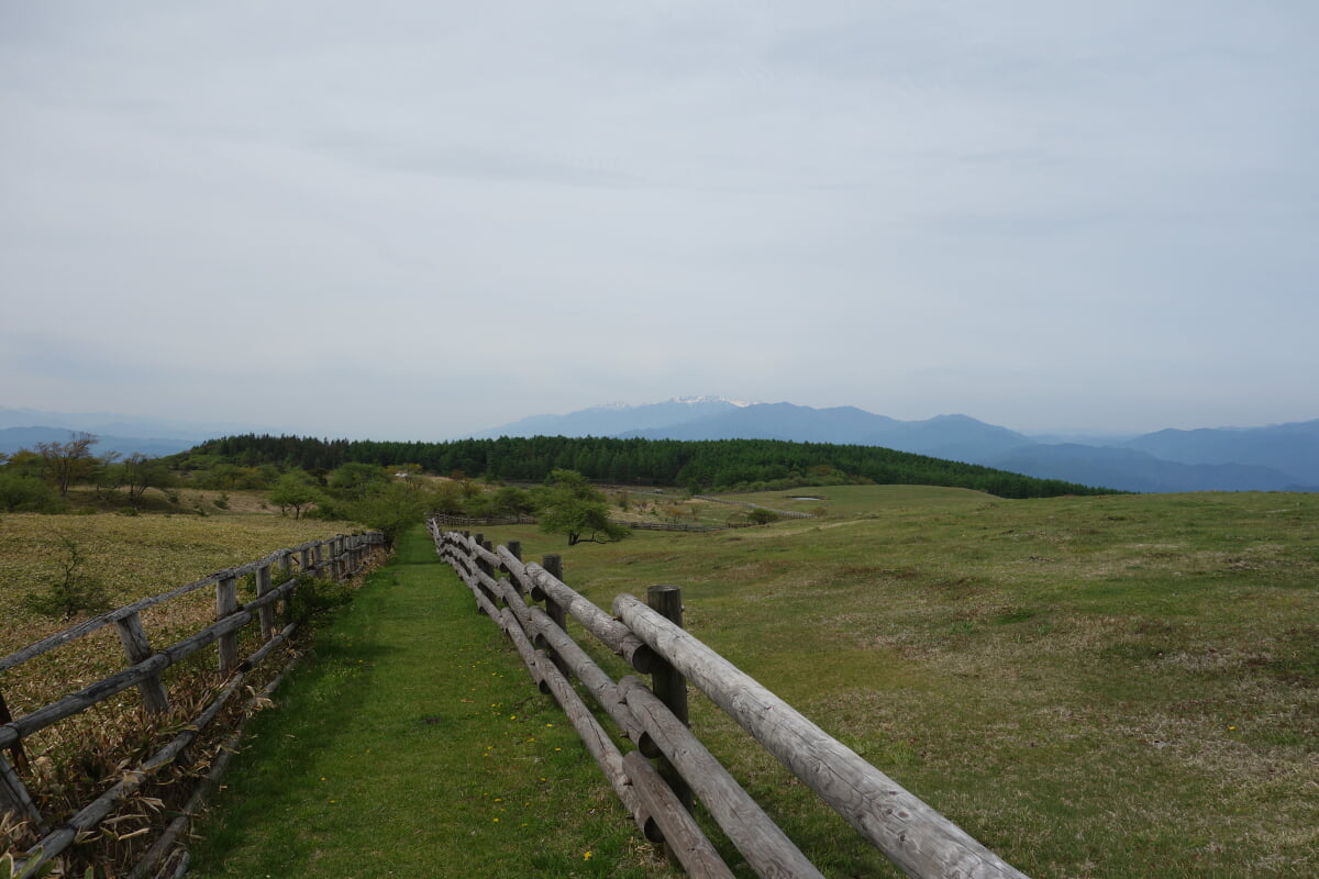 高ボッチ高原の写真1