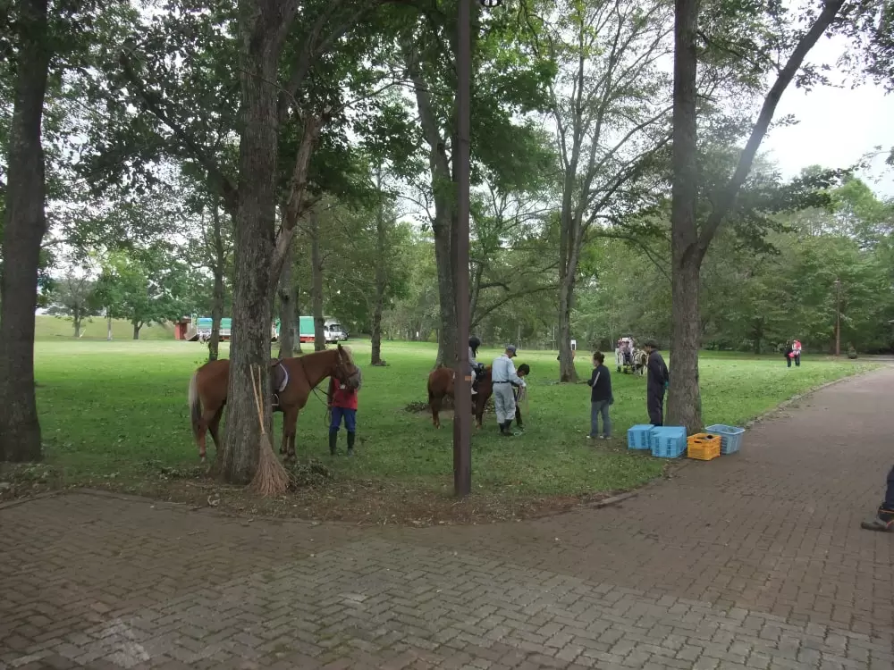 丸山公園の写真1