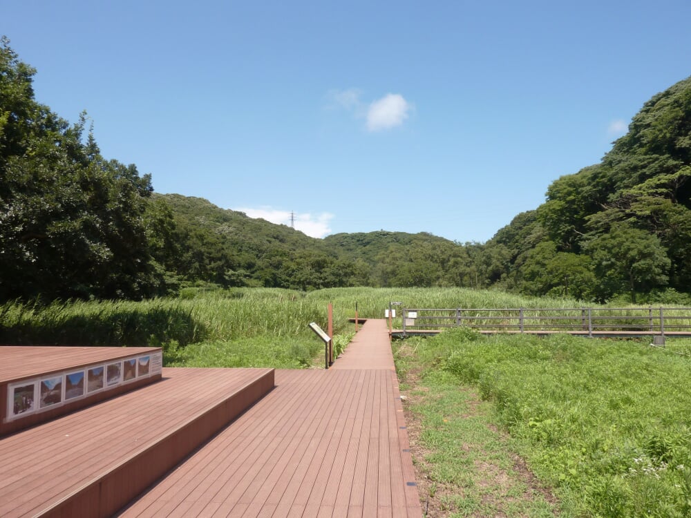 小網代の森の写真2